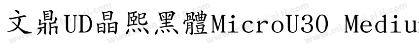 文鼎UD晶熙黑體MicroU30 Medium字体转换